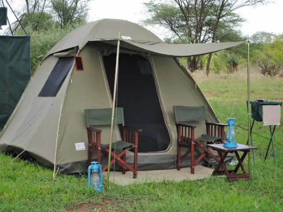 Safari Abenteuer