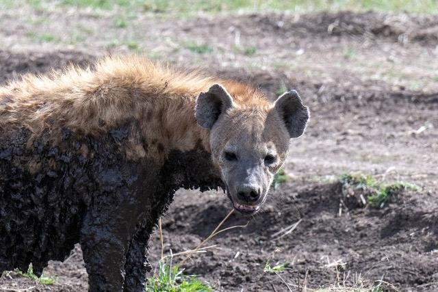 Arusha-Nationalpark