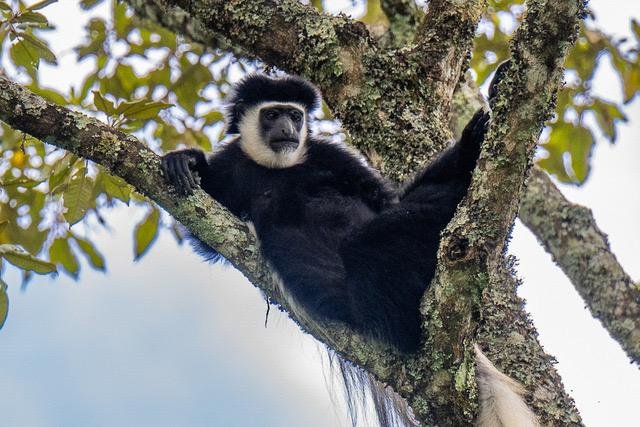 10 Tage Nordtansania Rundreise – Arusha, Tarangire, Ngorongoro & Serengeti