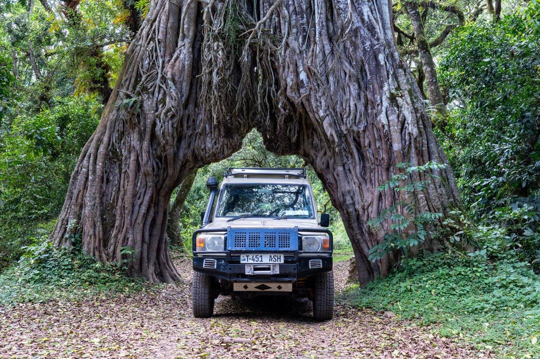 Arusha-Nationalpark