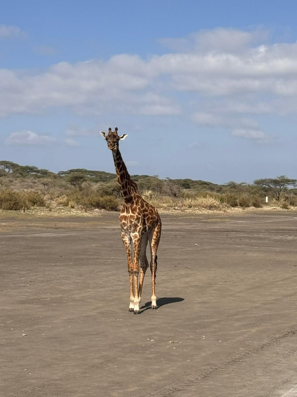 Lake-Manyara-Nationalpark
