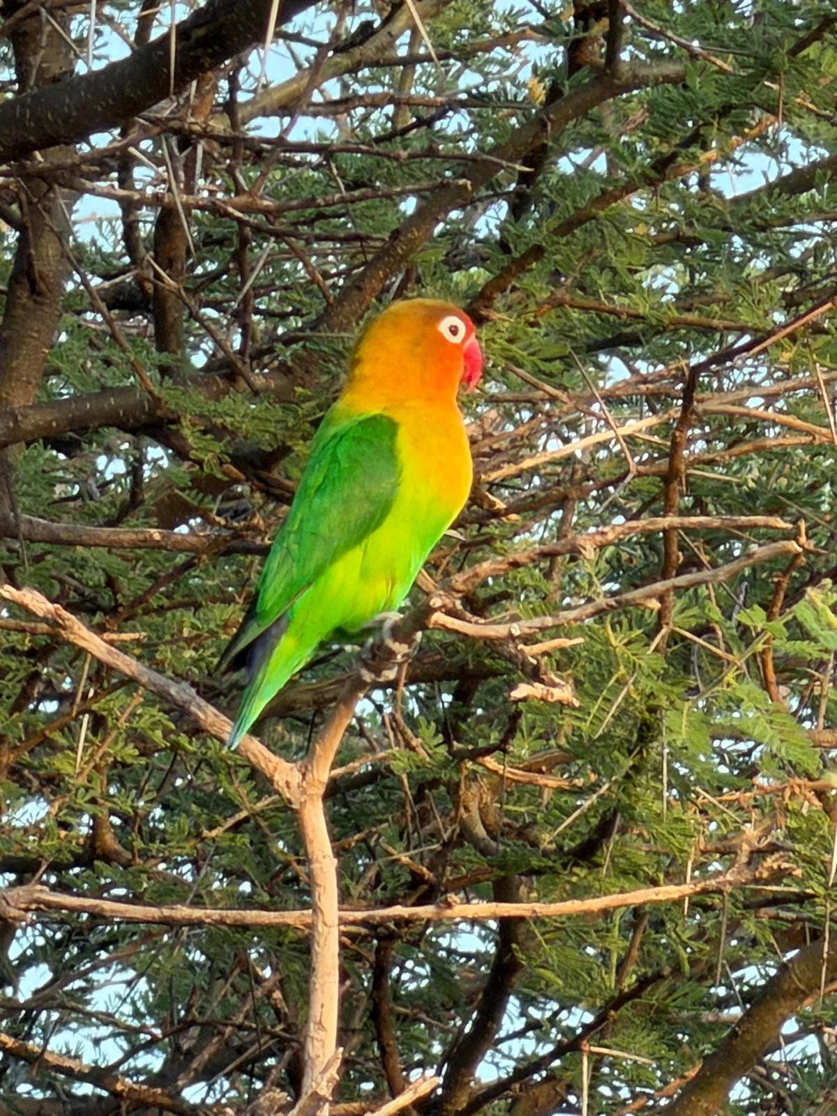 Lake-Manyara-Nationalpark