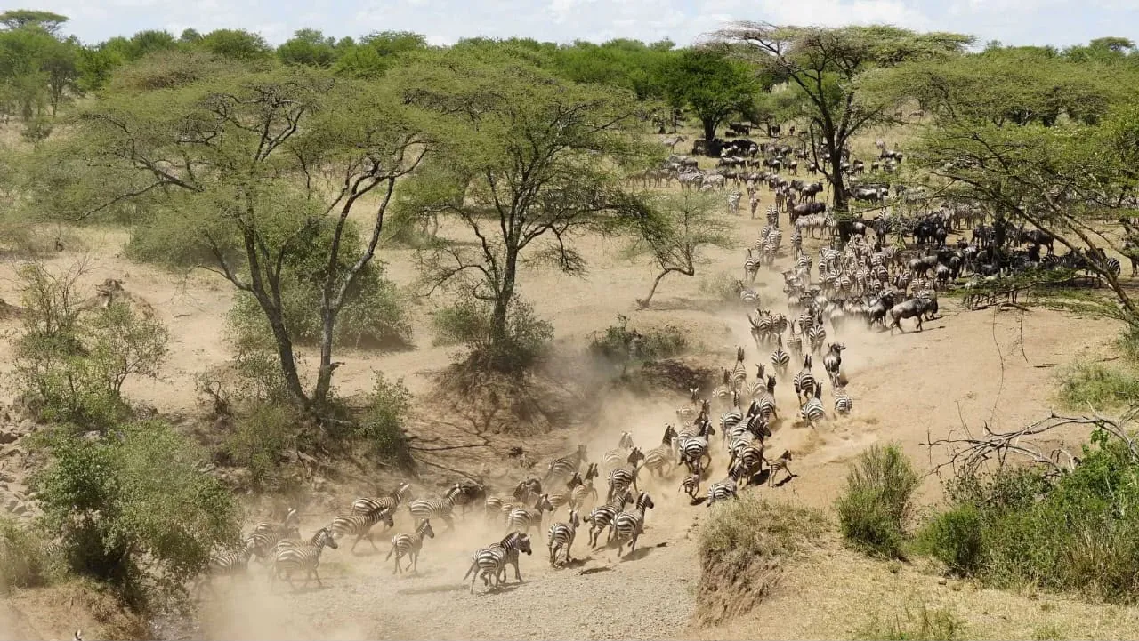 Lake-Manyara-Nationalpark