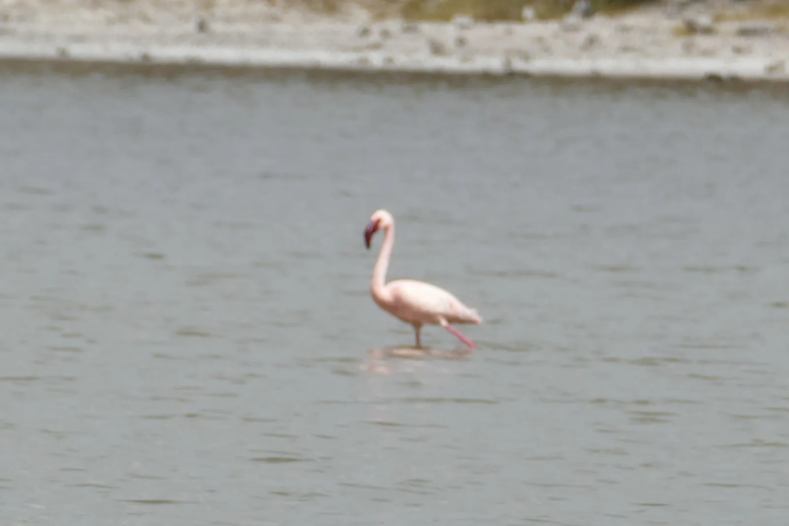 Lake-Manyara-Nationalpark
