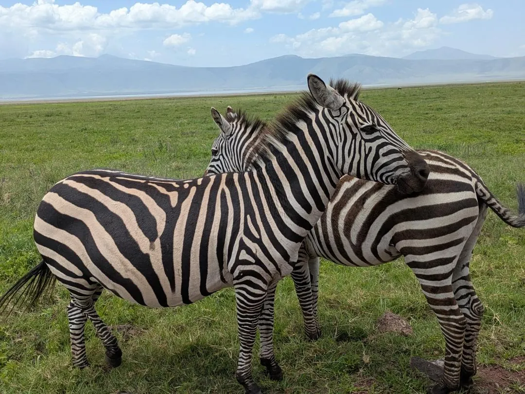 Tarangire-Nationalpark
