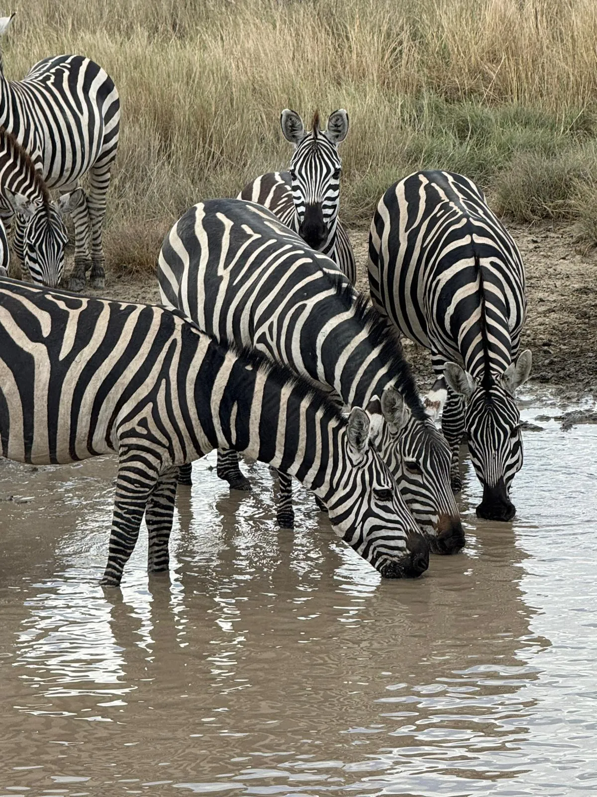 Tarangire-Nationalpark