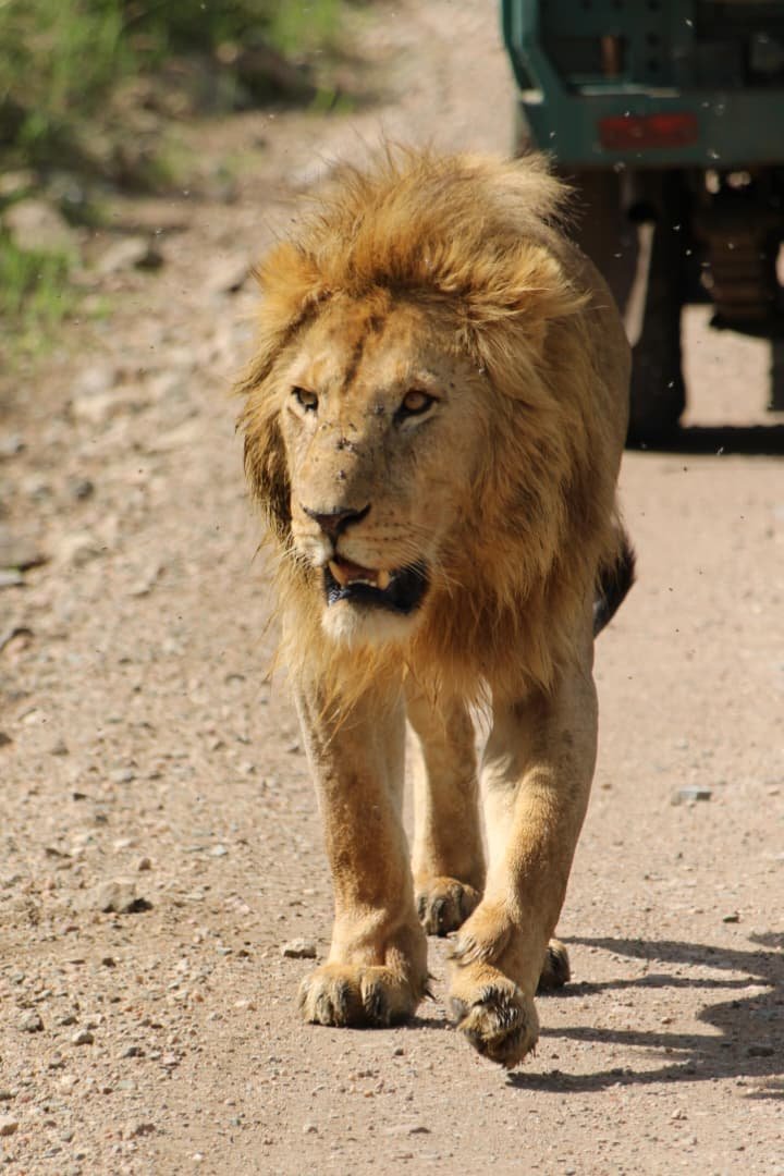 Tarangire-Nationalpark